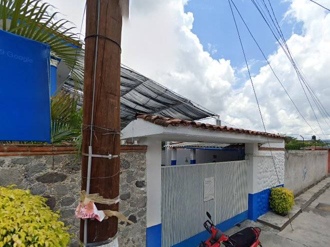Quinta bugambilias