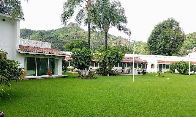 El grullo de tepoztlan