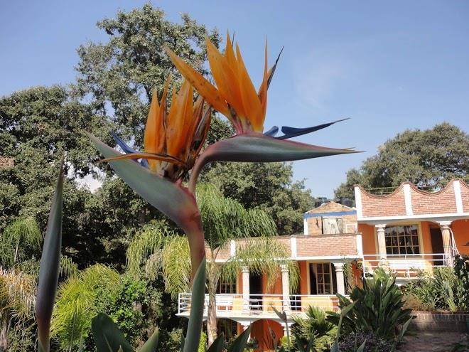 Hotel el mirador