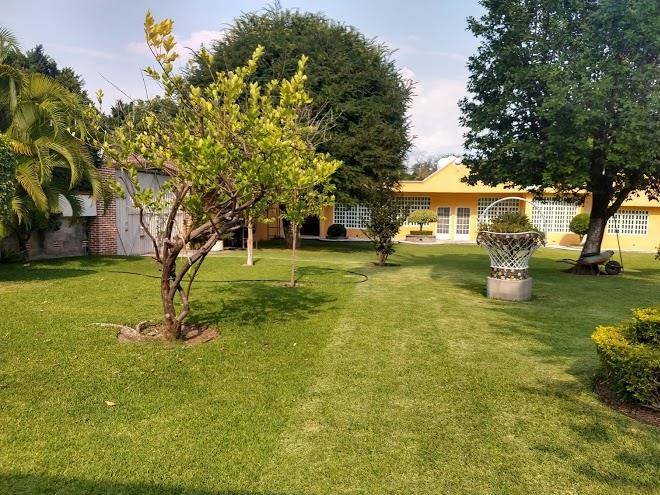 Hotel boutique el tulipan