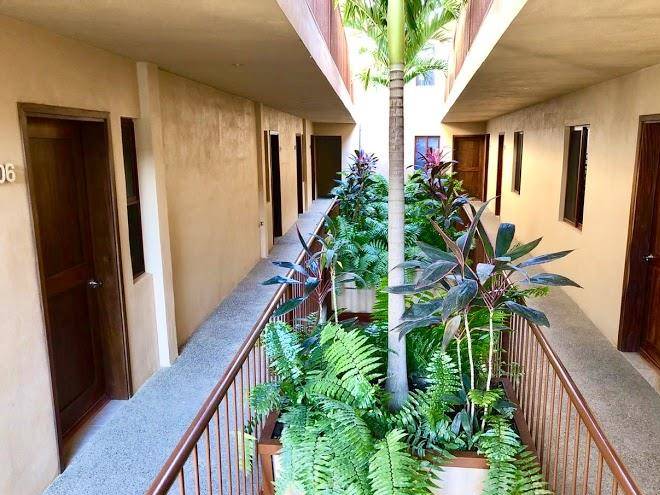 Pacific inn sayulita