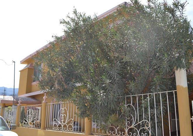 Hospedaje zulema
