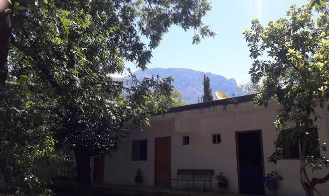 Hotel florencia