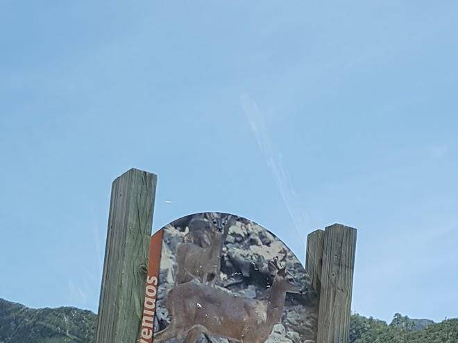 Cabanas mesa del oso