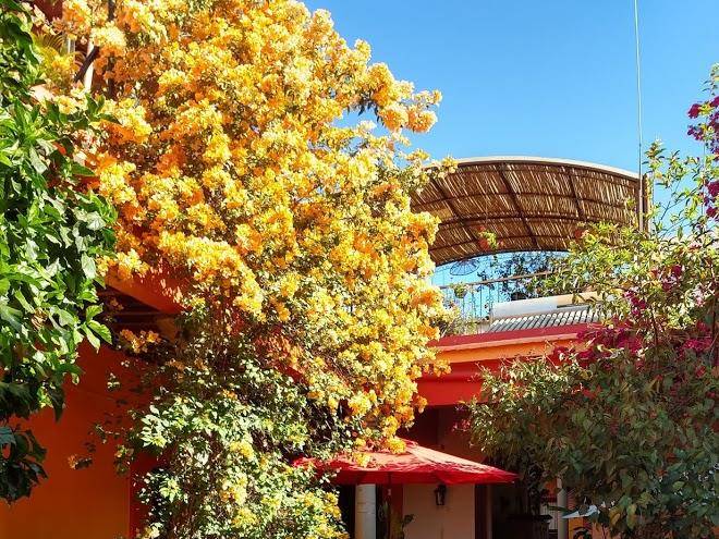 Hotel posada del centro