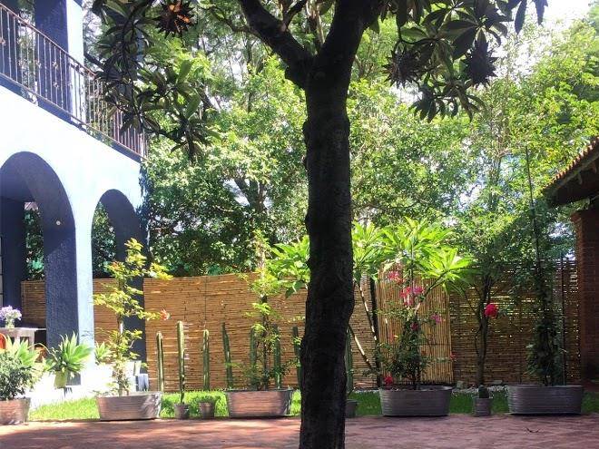 La betulia bed and breakfast oaxaca