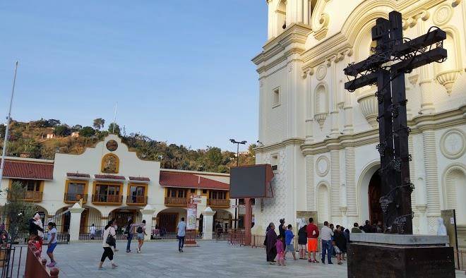 Los cedros