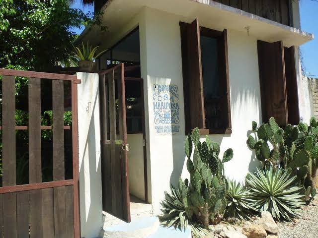 Osa mariposa