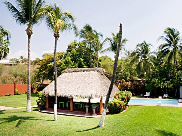 Palapas tortuga hotel