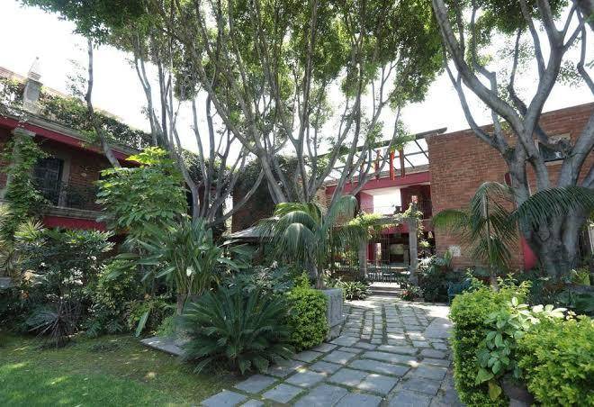 Las calandrias de atlixco