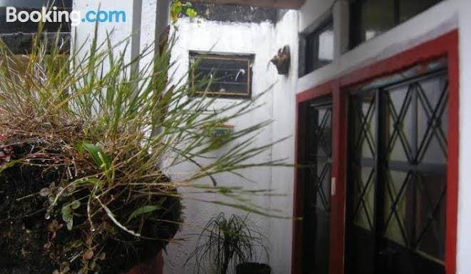 Posada ammi