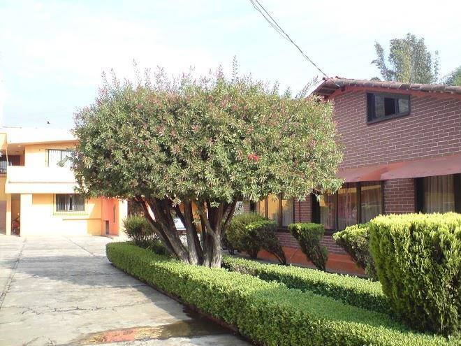Hotel hrc rex