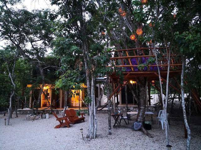 Iguana rana hotel