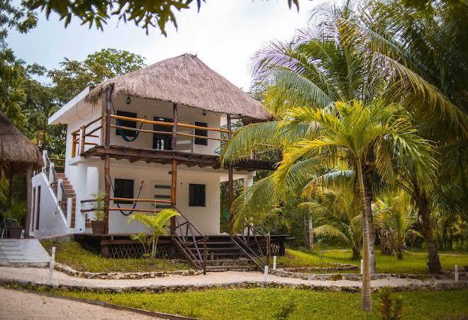 Royal palm bacalar