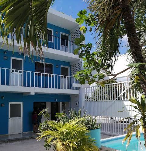 Blue coconut cancun