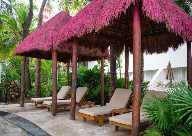 Grand oasis palm
