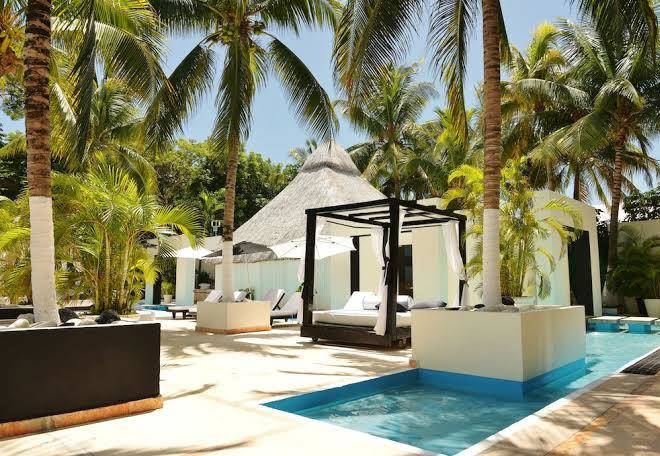 Oh cancun the urban oasis