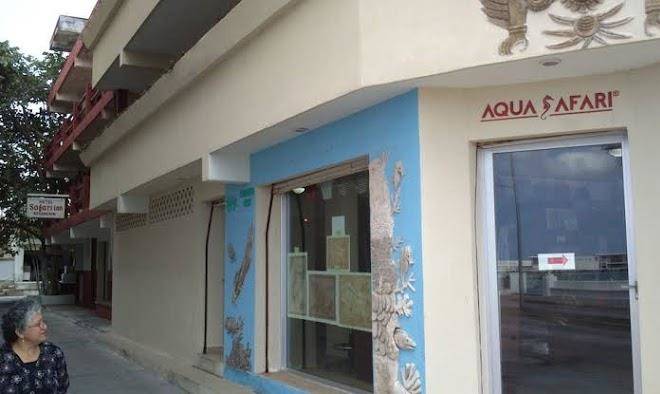 Aqua safari inn