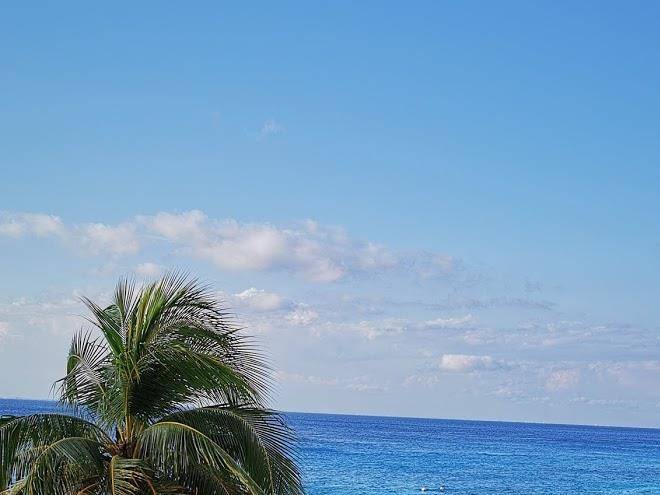 Hotel b cozumel