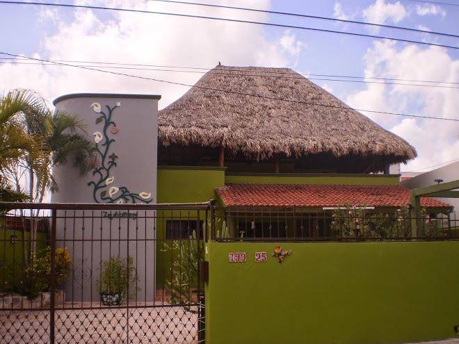 Los alcatraces cozumel