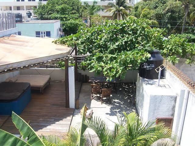 Elements of the island