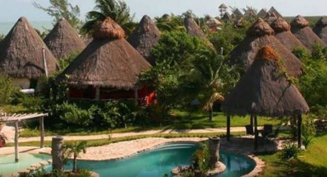 Blue holbox