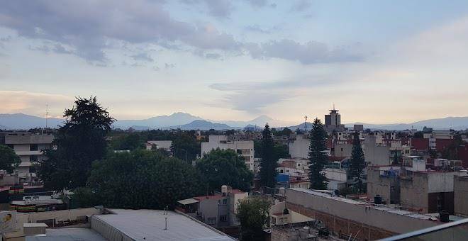 Hotel palma real