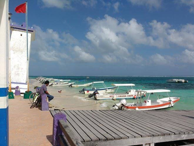 Casitas kinsol