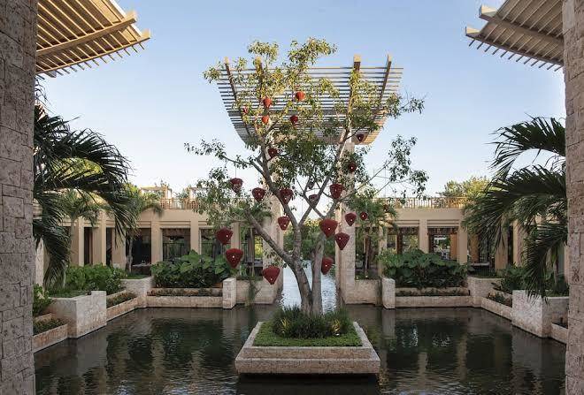 Banyan tree mayakoba