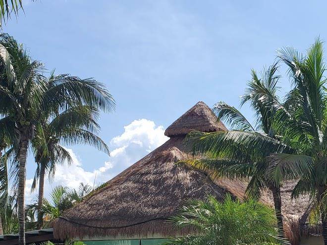 El dorado royale