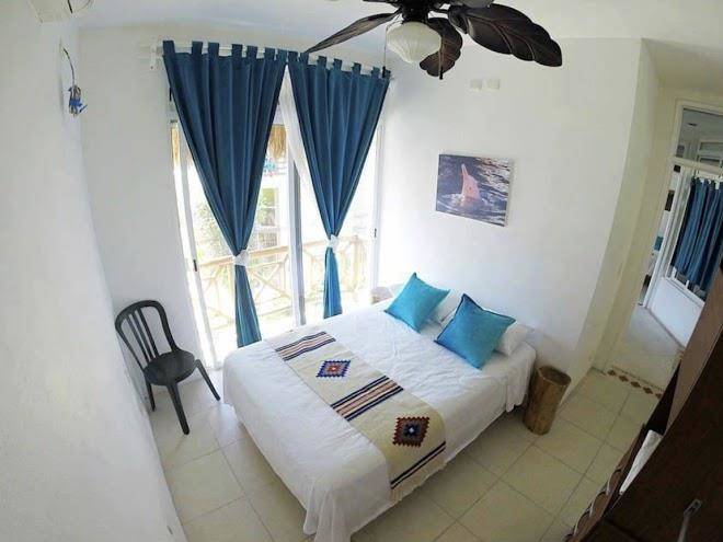 Estudios selva y mar