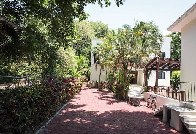 Green oasis home boutique