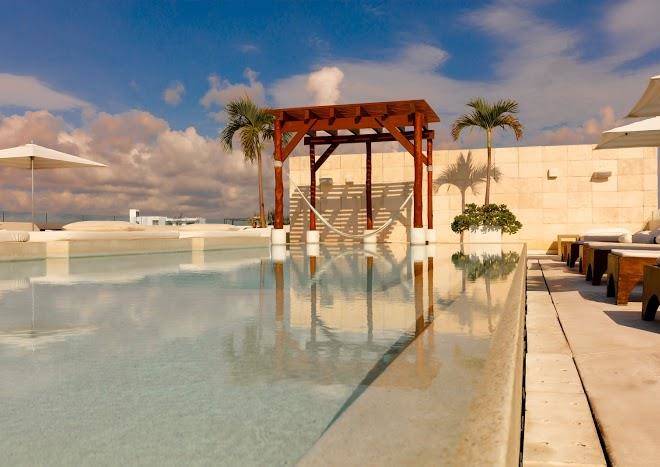 The palm at playa
