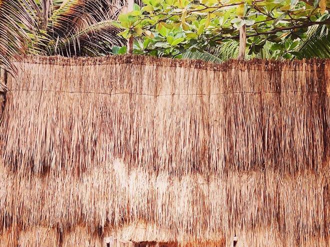 Glamping libelula tulum
