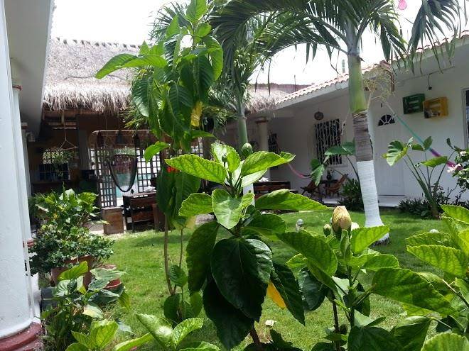 Hotel hal ha tulum