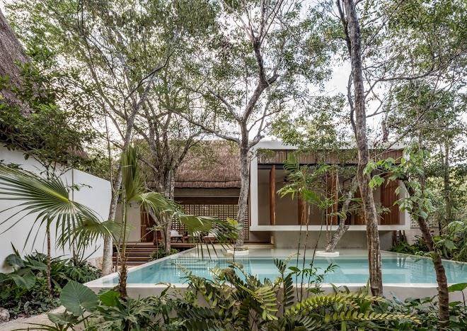 Hotel jungle keva