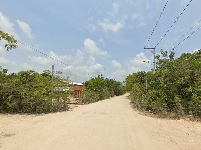 Mi querido tulum by happy address