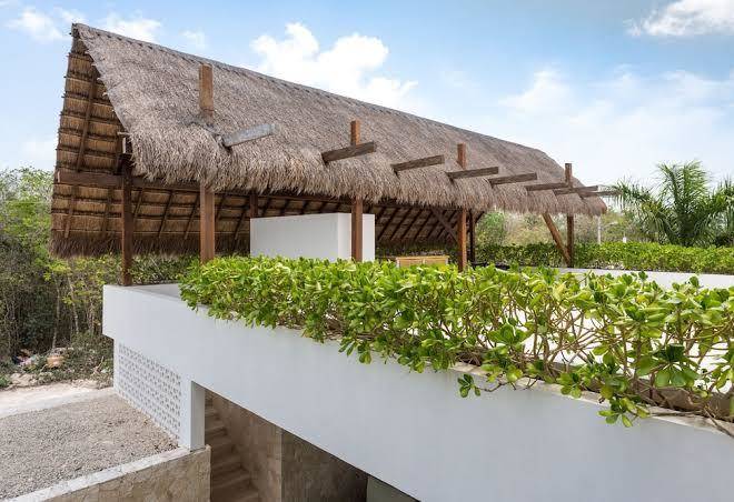 Saasil tulum