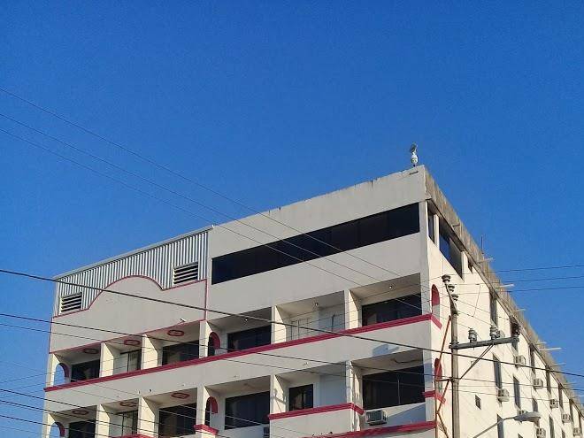 Hotel melania pizano