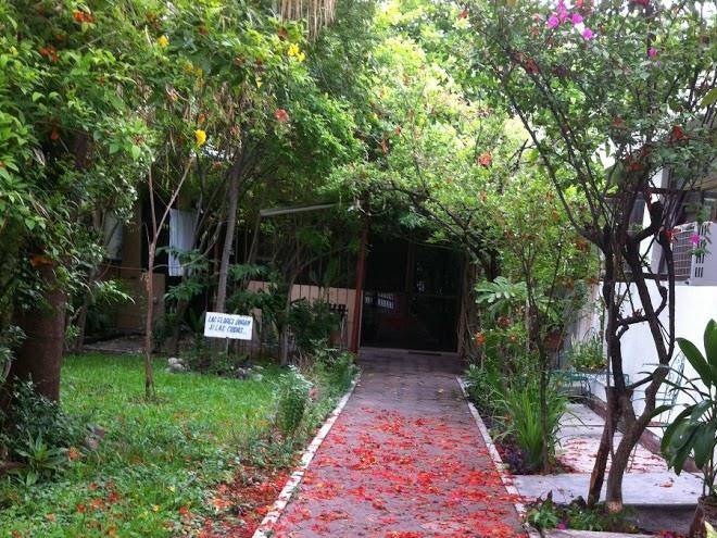 Jardin las palmas