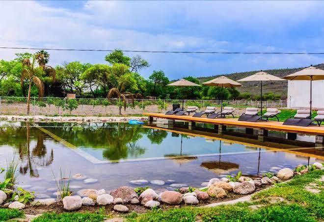 Hotel los lirios