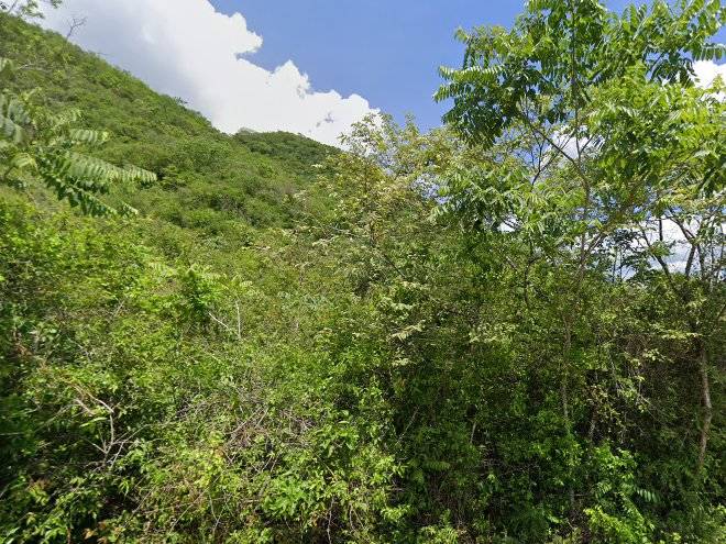 La sirenita
