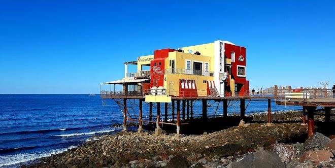 Hotel palma de oro