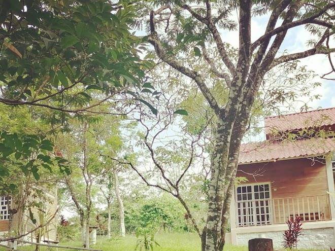 Eco parque agua selva
