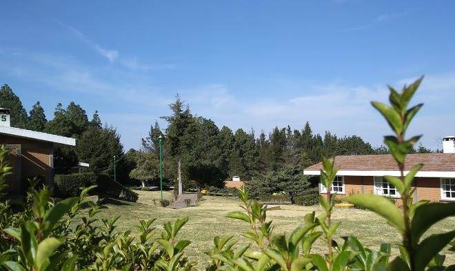 Centro vacacionales imss