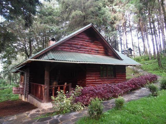 El rincon de pancho