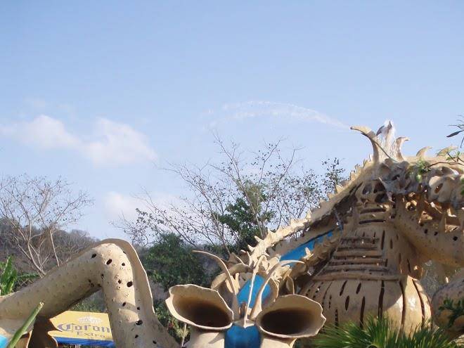 El carrizal