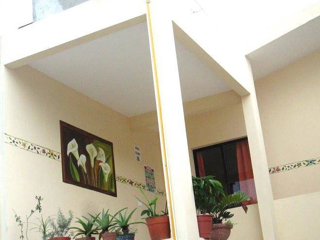 Hotel la orquidea