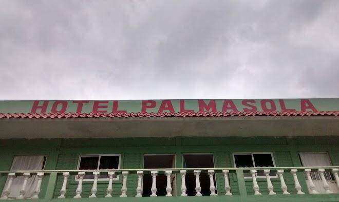 Hotel palma sola