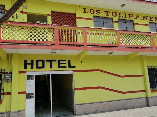 Hotel tulipanes
